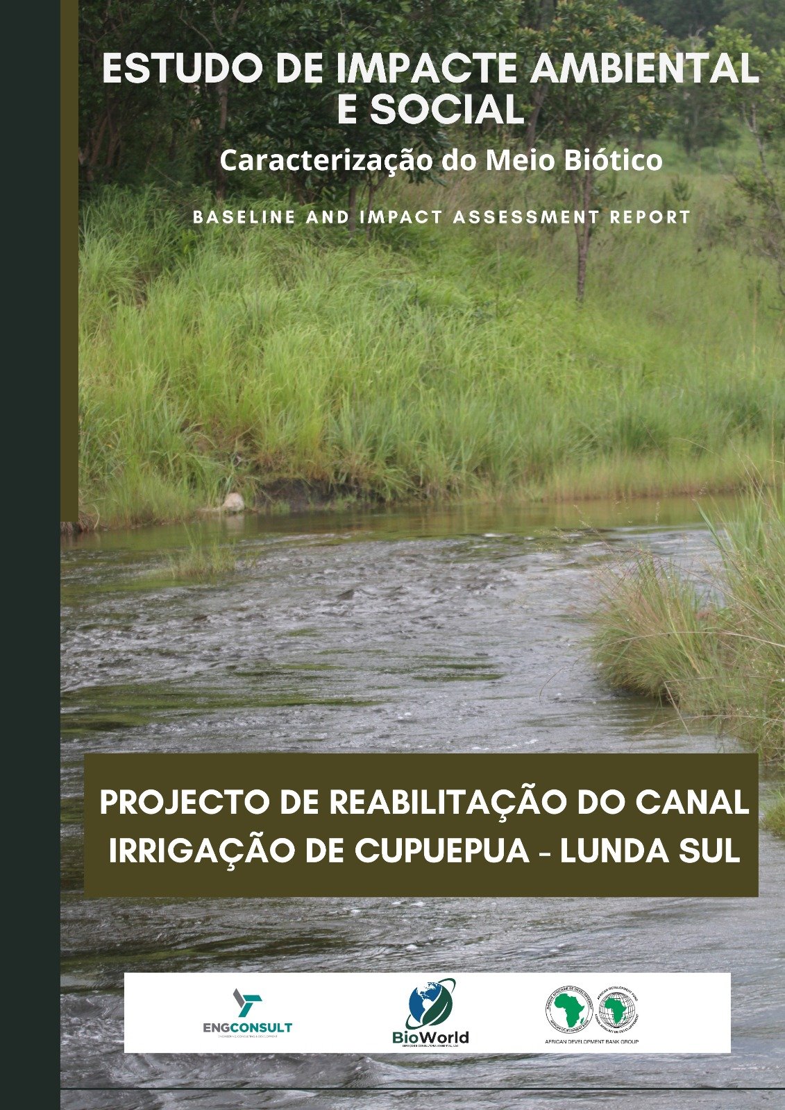 Estudo de Impacte Ambiental e Social - Caracterização do Meio Biótico