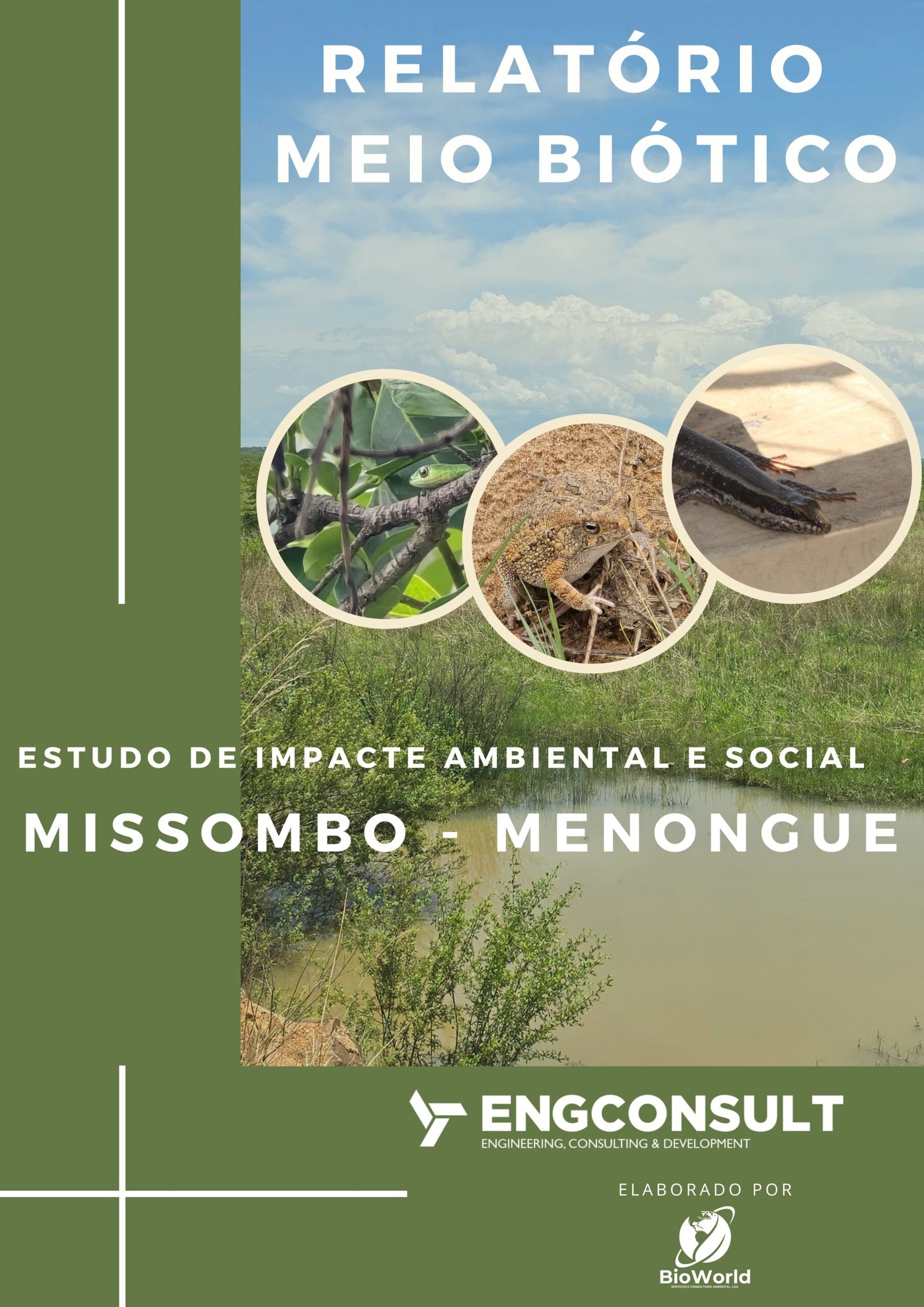 Estudo de Impacte Ambiental e Social - Missombo/Menongue