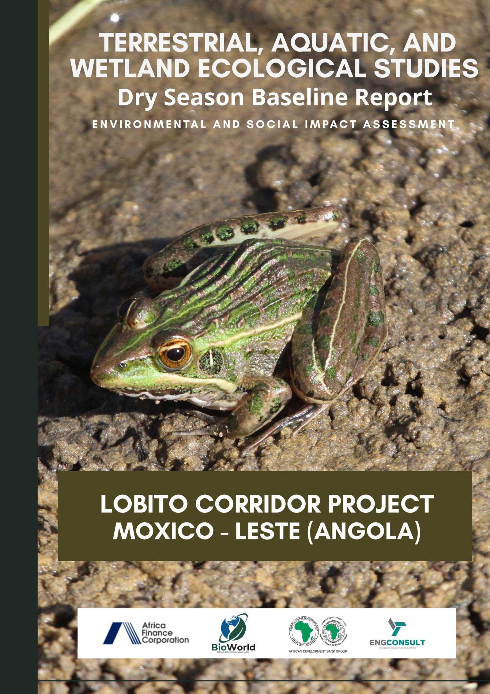 Lobito Corridor Project - Moxico/Leste