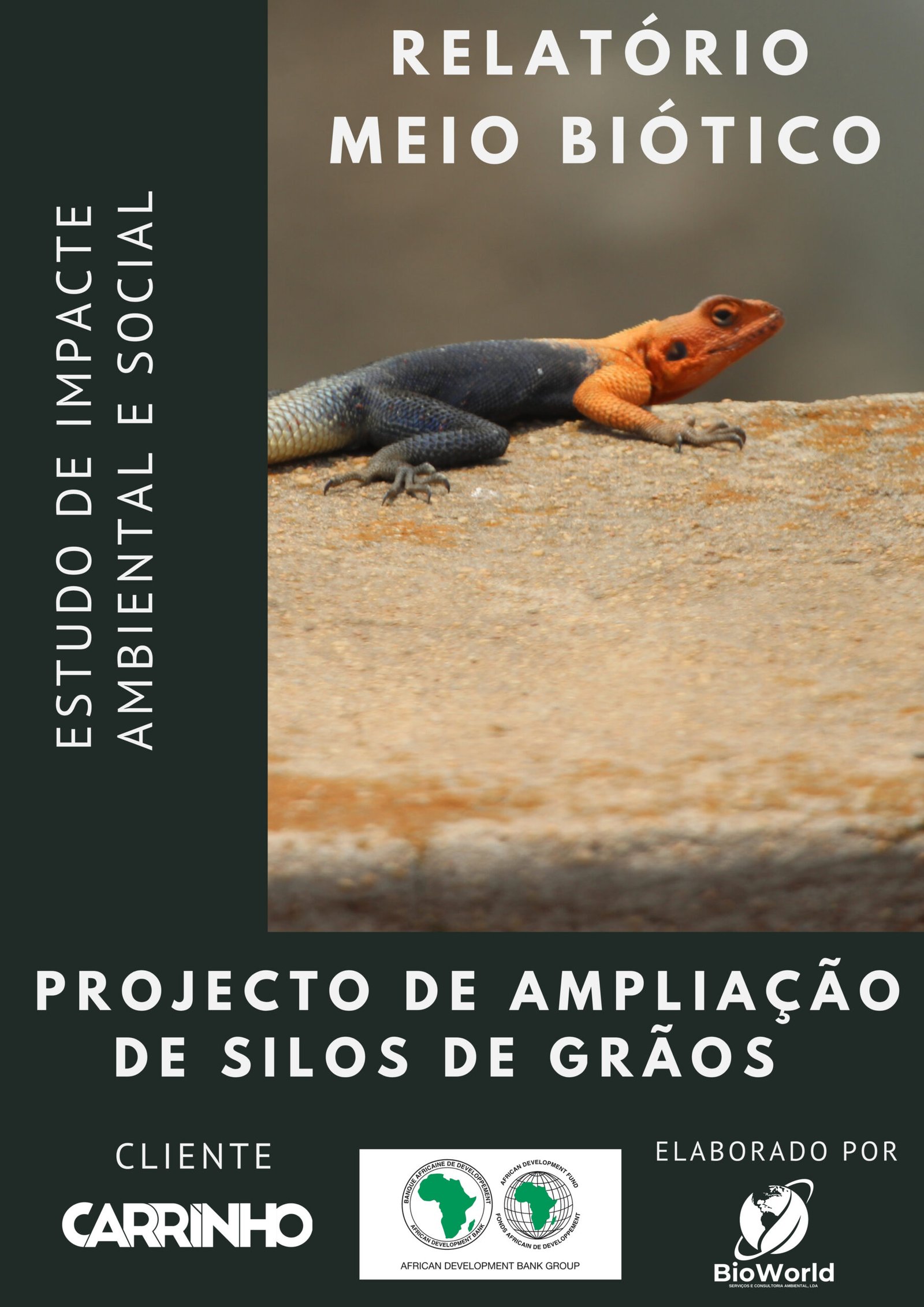 Projecto de Ampliação de Silos de Grãos