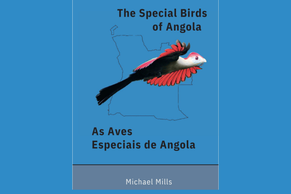 Principais-Aves-de-Angola