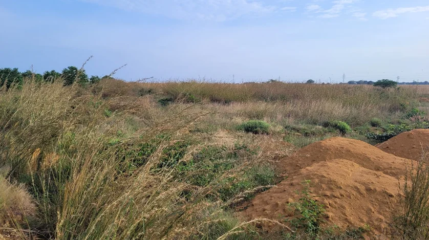 Avaliação de Riscos