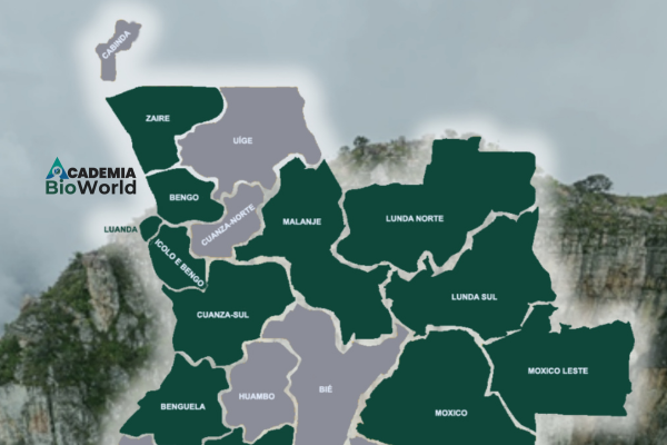 SIG, e Geoprocessamento Ambiental